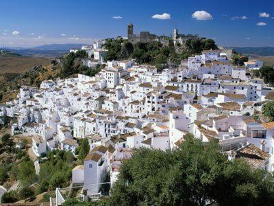 Casares Appart 2 Ch Dans Parc Tropical Avec Vue Sur Mer, Montagne Et Piscine Daire Dış mekan fotoğraf