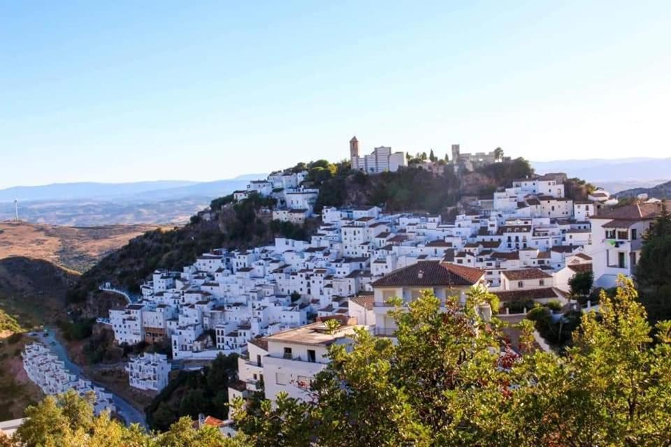 Casares Appart 2 Ch Dans Parc Tropical Avec Vue Sur Mer, Montagne Et Piscine Daire Dış mekan fotoğraf